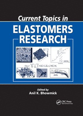 Anil K. Bhowmick - Current Topics in Elastomers Research, Häftad