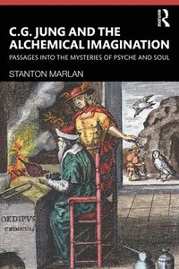 bokomslag C. G. Jung and the Alchemical Imagination