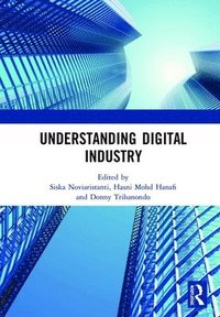 bokomslag Understanding Digital Industry