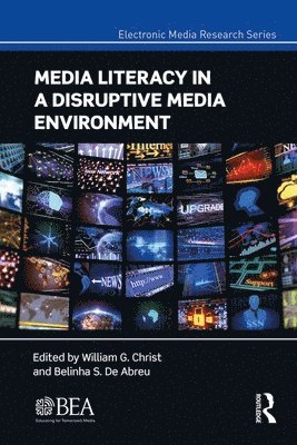 bokomslag Media Literacy in a Disruptive Media Environment