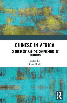 Chinese in Africa 1