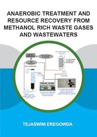 bokomslag Anaerobic Treatment and Resource Recovery from Methanol Rich Waste Gases and Wastewaters