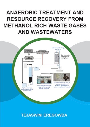 bokomslag Anaerobic Treatment and Resource Recovery from Methanol Rich Waste Gases and Wastewaters