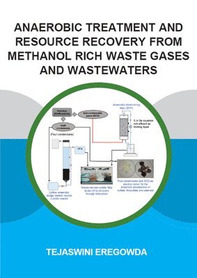 Anaerobic Treatment and Resource Recovery from Methanol Rich Waste Gases and Wastewaters 1