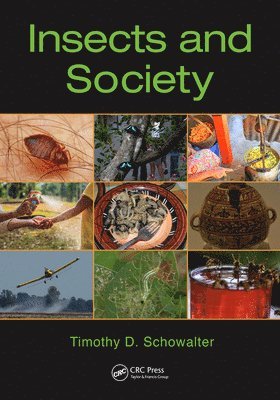 Insects and Society 1