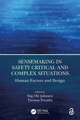 Sensemaking in Safety Critical and Complex Situations 1