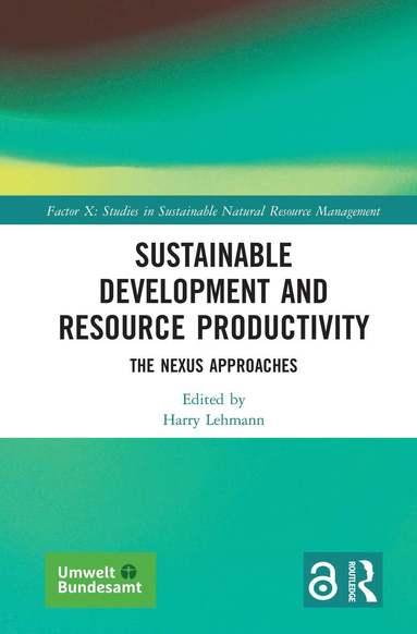 Harry Lehmann - Sustainable Development and Resource Productivity, Inbunden