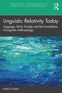 bokomslag Linguistic Relativity Today