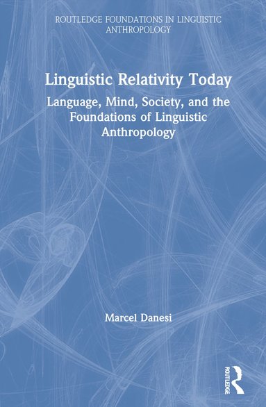 bokomslag Linguistic Relativity Today