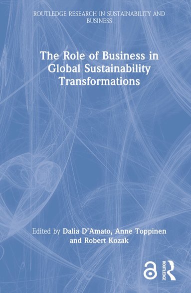 Ram Chandra, RC Sobti - Role of Business in Global Sustainability Transformations, Inbunden