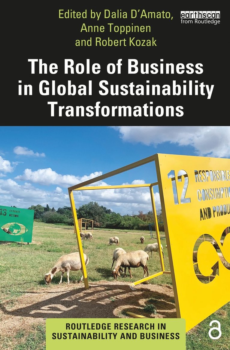 Ram Chandra, RC Sobti, Dalia D'Amato, Anne Toppinen, Robert Kozak - Role of Business in Global Sustainability Transformations, Häftad