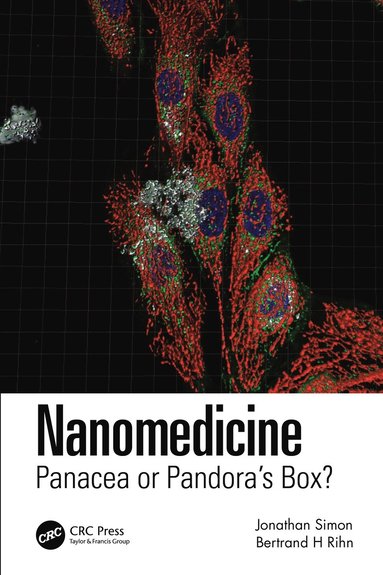 bokomslag Nanomedicine