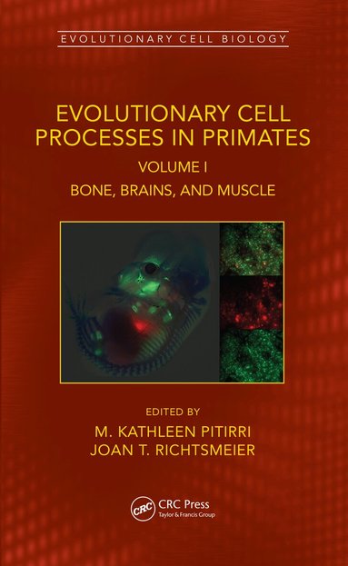 M. Kathleen Pitirri, Joan T. Richtsmeier - Evolutionary Cell Processes in Primates, Inbunden