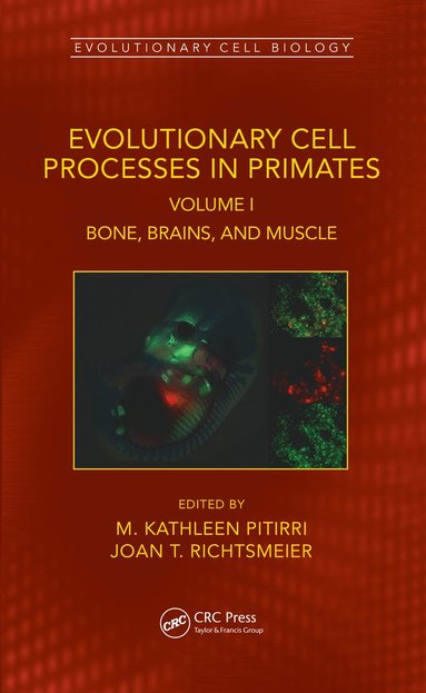 bokomslag Evolutionary Cell Processes in Primates