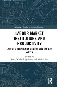 bokomslag Labour Market Institutions and Productivity