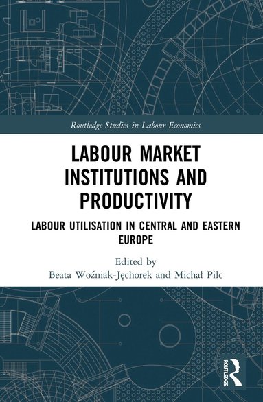 Beata Woźniak-Jęchorek, Michał Pilc - Labour Market Institutions and Productivity, Inbunden