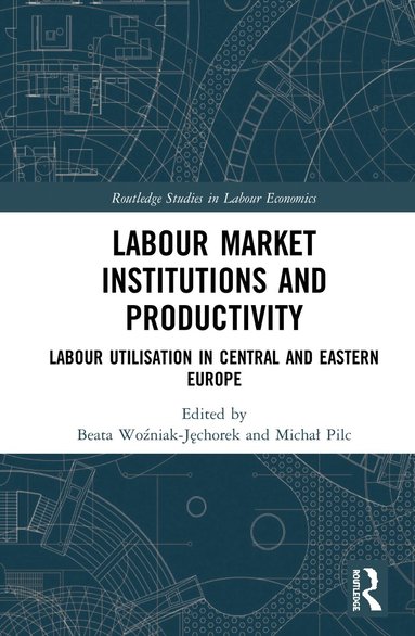 bokomslag Labour Market Institutions and Productivity