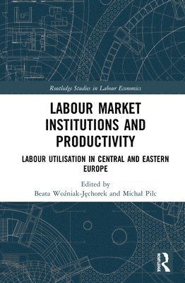 Beata Woźniak-Jęchorek, Michał Pilc, Beata Wozniak-Jechorek, Michal Pilc, Beata Wo&#378;niak-J&#281;chorek - Labour Market Institutions and Productivity, Inbunden