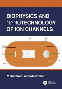 bokomslag Biophysics and Nanotechnology of Ion Channels