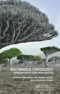 bokomslag Multimedia Ontology