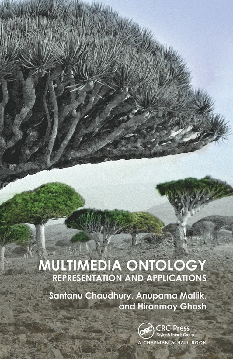 Santanu Chaudhury, Anupama Mallik, Hiranmay Ghosh - Multimedia Ontology, Häftad