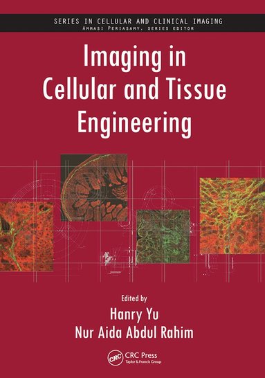 Hanry Yu, Nur Aida Abdul Rahim - Imaging in Cellular and Tissue Engineering, Häftad