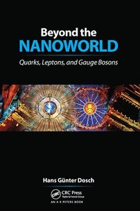 bokomslag Beyond the Nanoworld