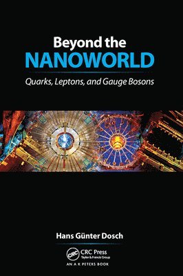 Beyond the Nanoworld 1