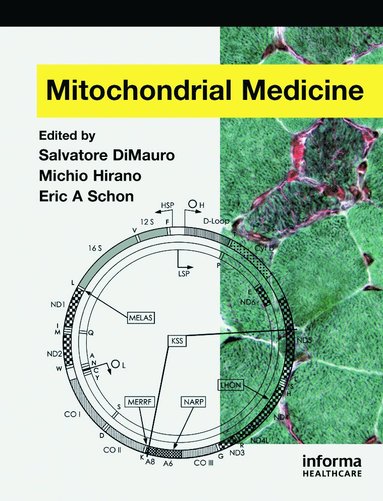 bokomslag Mitochondrial Medicine