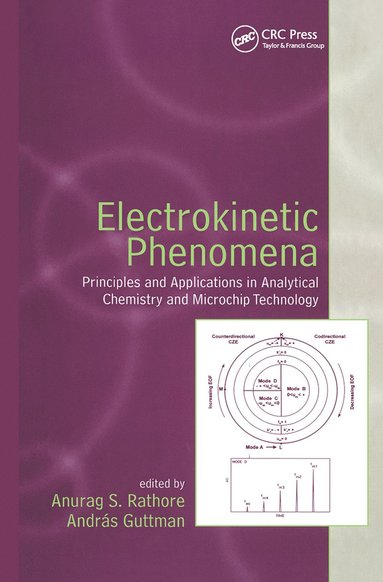 bokomslag Electrokinetic Phenomena