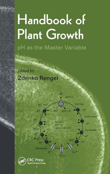 Zdenko Rengel - Handbook of Plant Growth pH as the Master Variable, Häftad