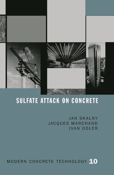 bokomslag Sulfate Attack on Concrete