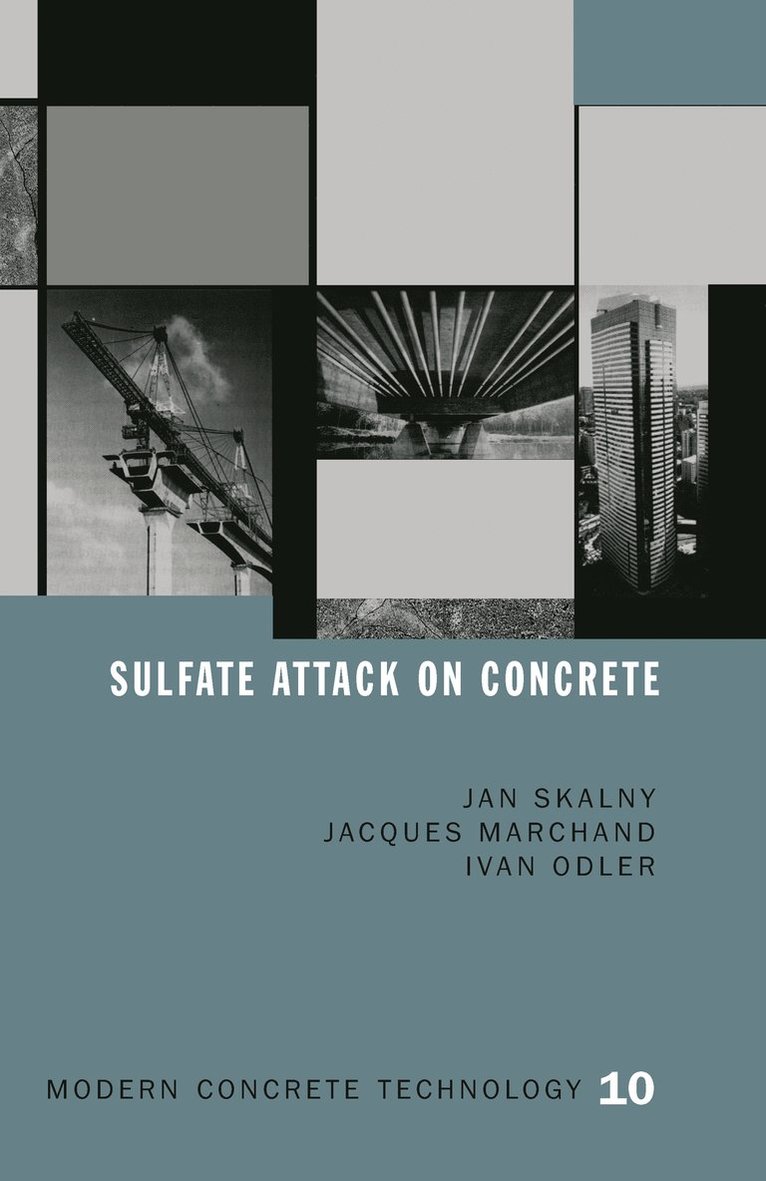J. Marchand, Ivan Odler, Jan P. Skalny - Sulfate Attack on Concrete, Häftad