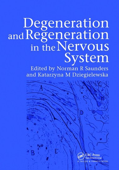 bokomslag Degeneration and Regeneration in the Nervous System