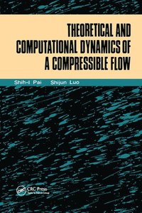 bokomslag Theoretical Computational Dynamics