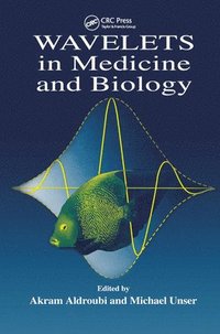 bokomslag Wavelets in Medicine and Biology
