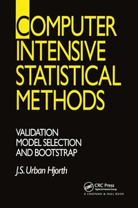 bokomslag Computer Intensive Statistical Methods