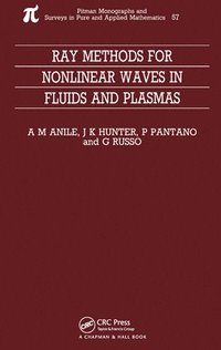 bokomslag Ray Methods for Nonlinear Waves in Fluids and Plasmas