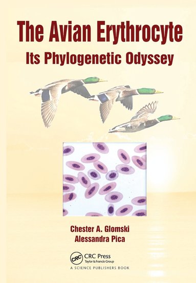 bokomslag Avian Erythrocyte