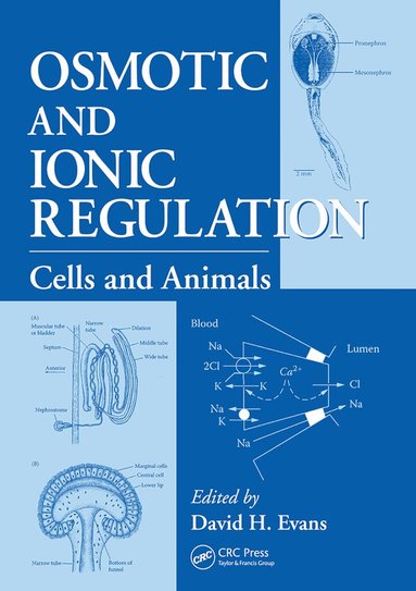 David H. Evans - Osmotic and Ionic Regulation, Häftad