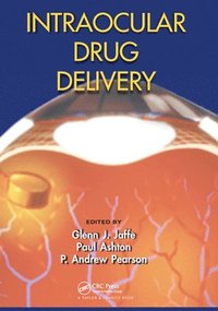 bokomslag Intraocular Drug Delivery