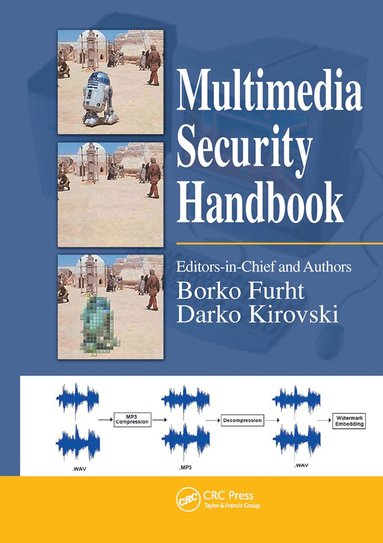 bokomslag Multimedia Security Handbook