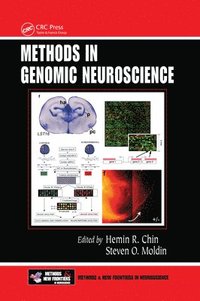 bokomslag Methods in Genomic Neuroscience