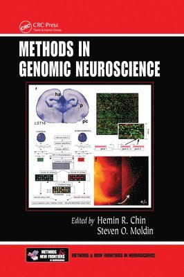 bokomslag Methods in Genomic Neuroscience