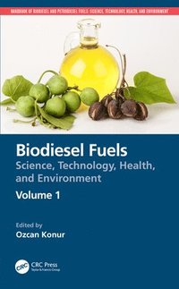 bokomslag Biodiesel Fuels