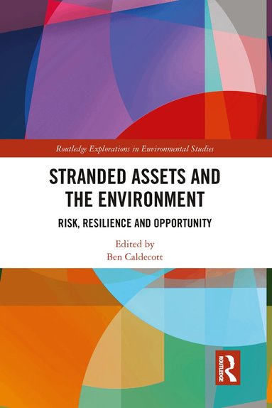 Ben Caldecott - Stranded Assets and the Environment, Häftad