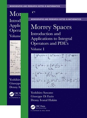 bokomslag Morrey Spaces