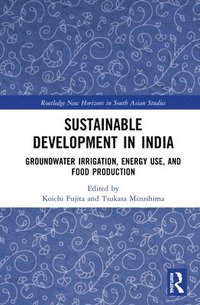 bokomslag Sustainable Development in India