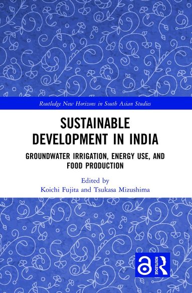 Koichi Fujita, Tsukasa Mizushima - Sustainable Development in India, Inbunden