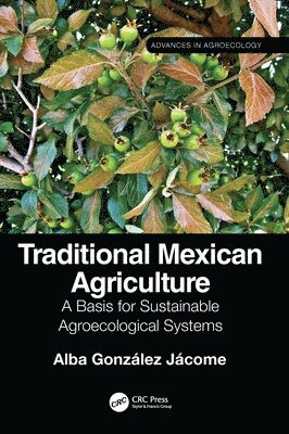 Traditional Mexican Agriculture 1